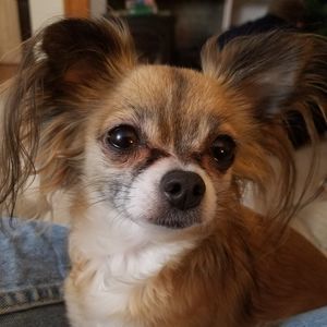 Meet your Posher, Ken